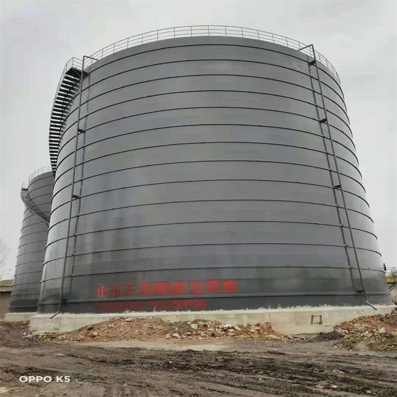 新城3万吨大型钢板库