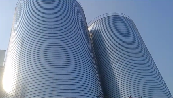 新城2座混凝土高架卷板仓